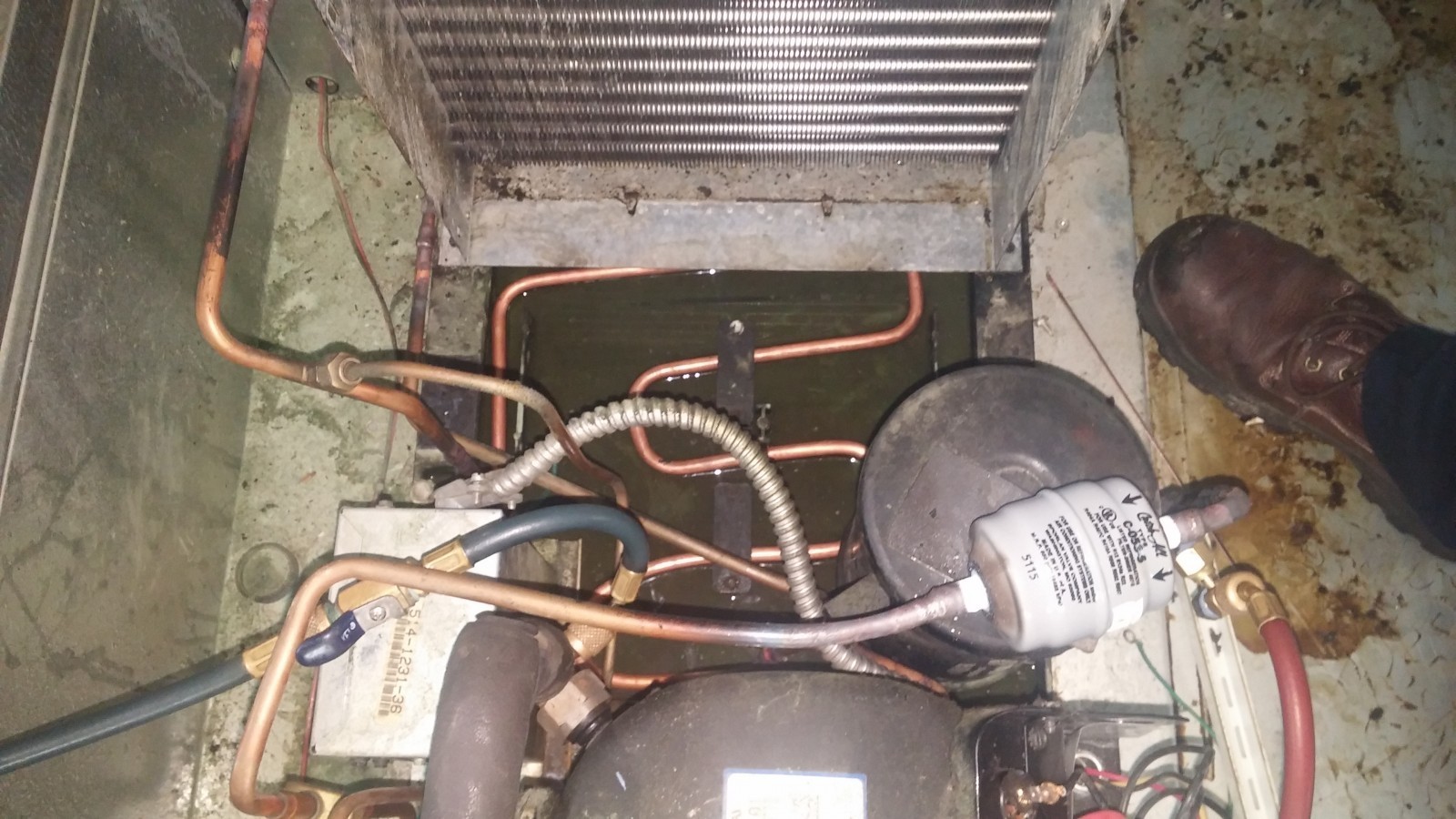 Walk–in Cooler maintenance