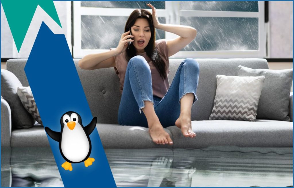 This is an image of a woman on her couch in her flooded house with a stormy background. She's on the phone with a plumber from Atlantic refrigeration